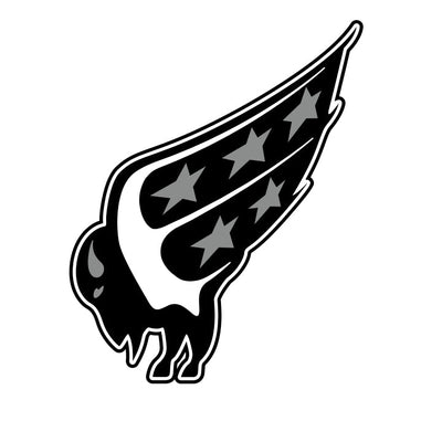 Foothills Bisons AA
