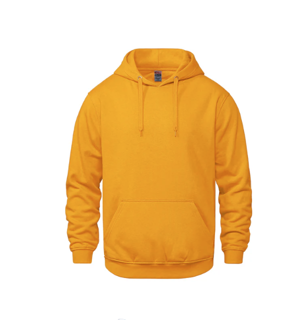 VAULT YOUTH HOODED SWEATSHIRT - SUMMIT WEST INDEPENDENT SCHOOL