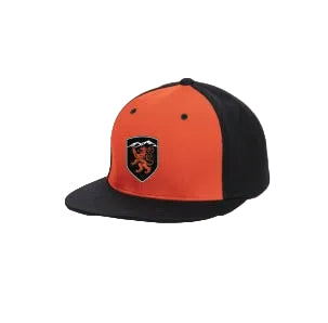 Flex Fit Hat - Foothills Lions Rugby